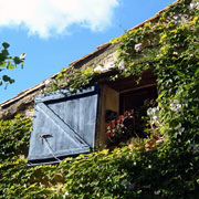 Window in Aigne