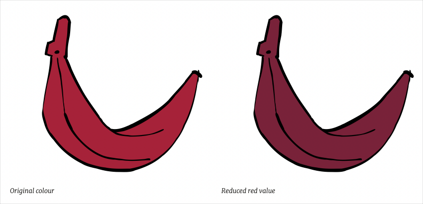 Reference image