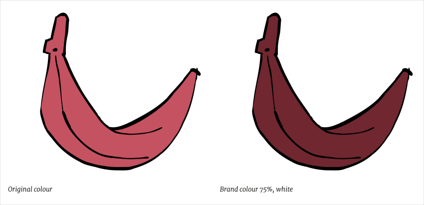 Reference image