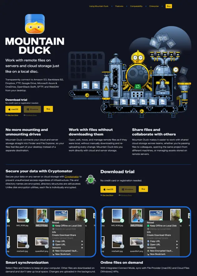 Mountain Duck