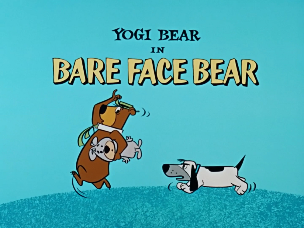 Bear Face Bear